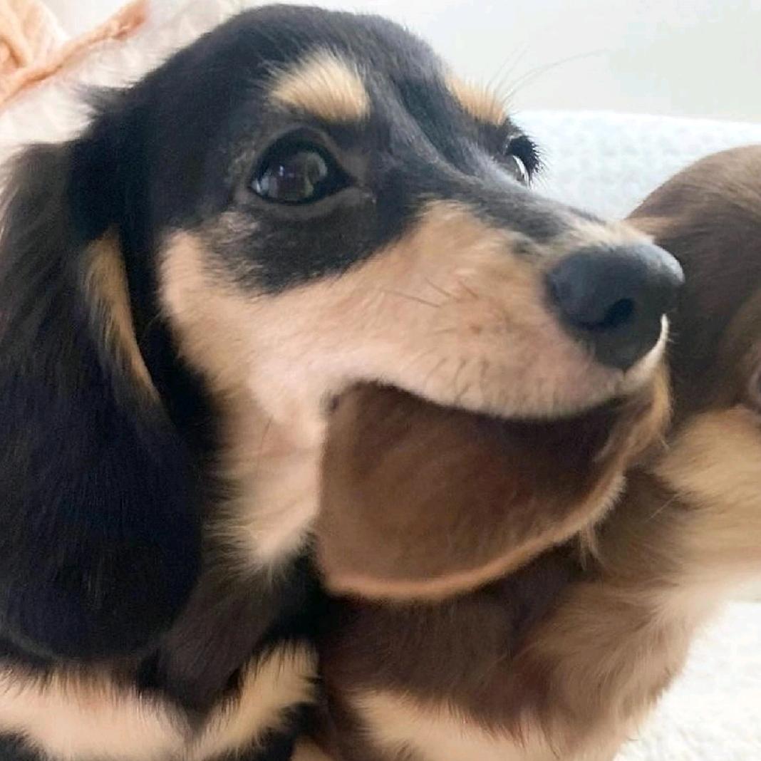 可乐必须要加冰