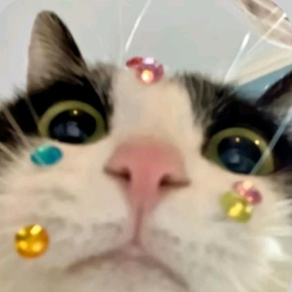倍速🐾