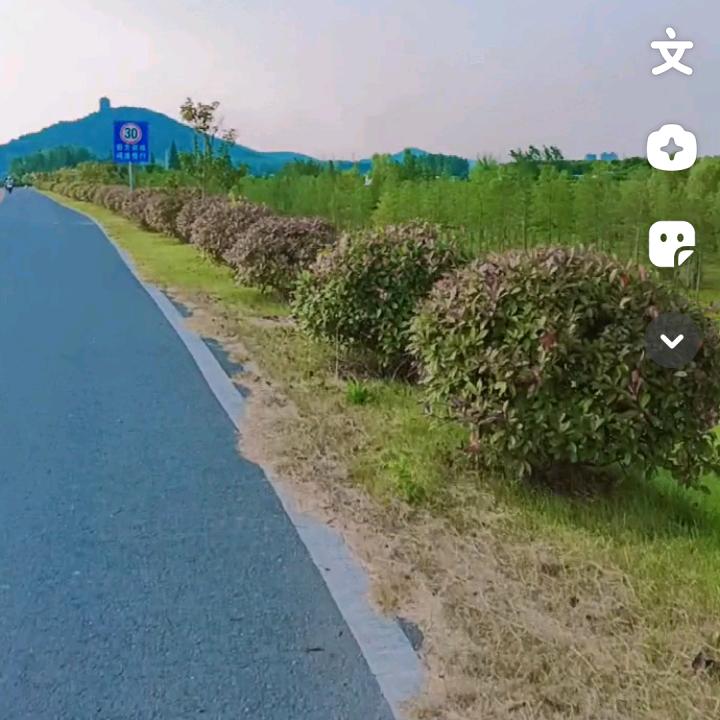 春暖花开