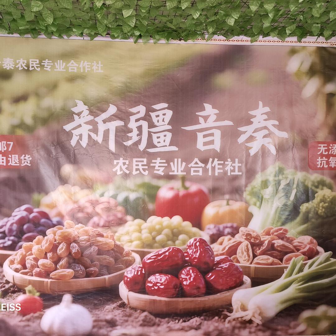 🇨🇳新疆英吉沙县音奏农民专业合作社?
