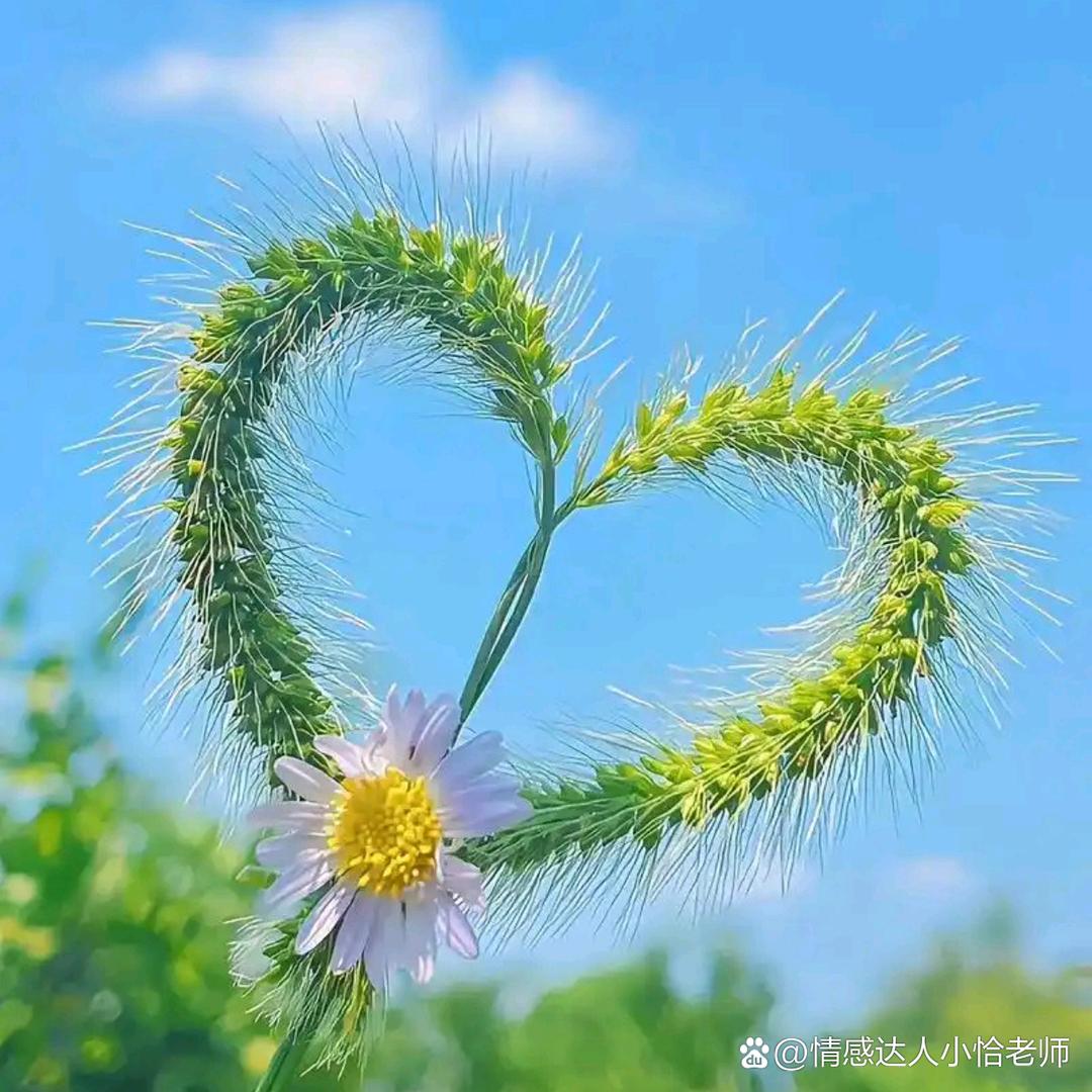 一抹阳光