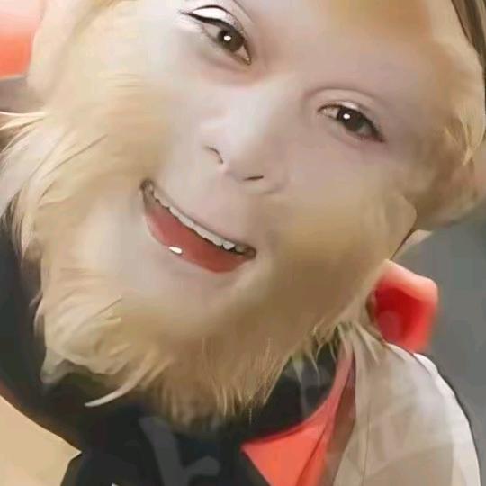 单身一人。