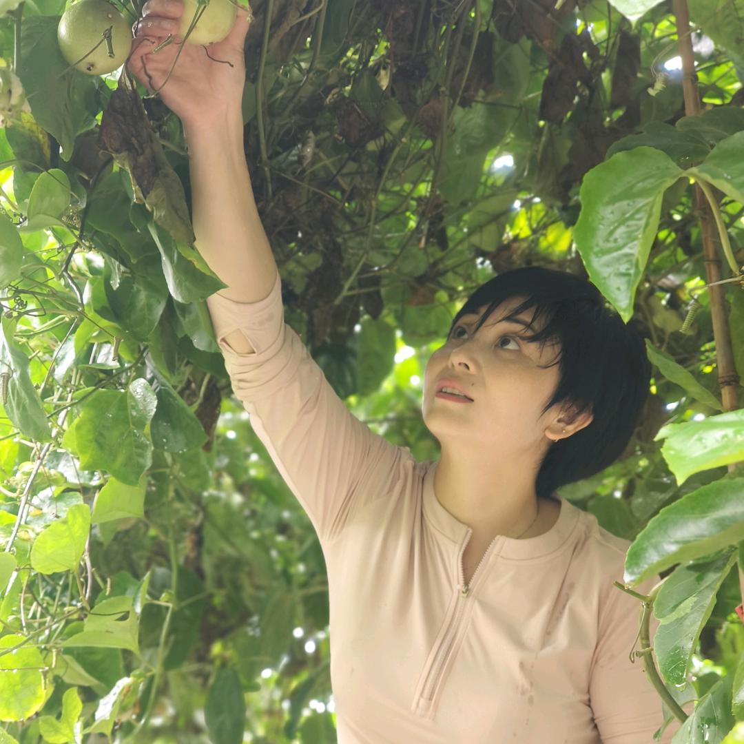 美如
