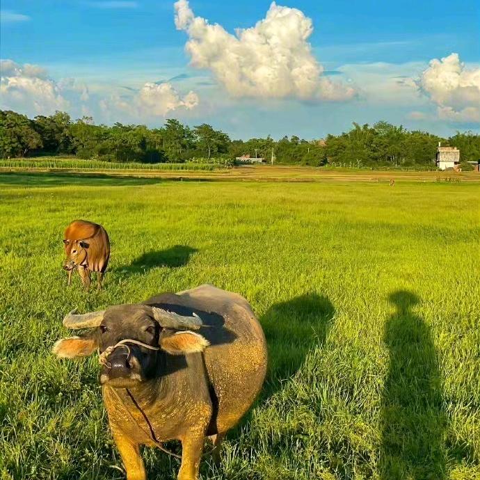 🩷小吴❤️比开心