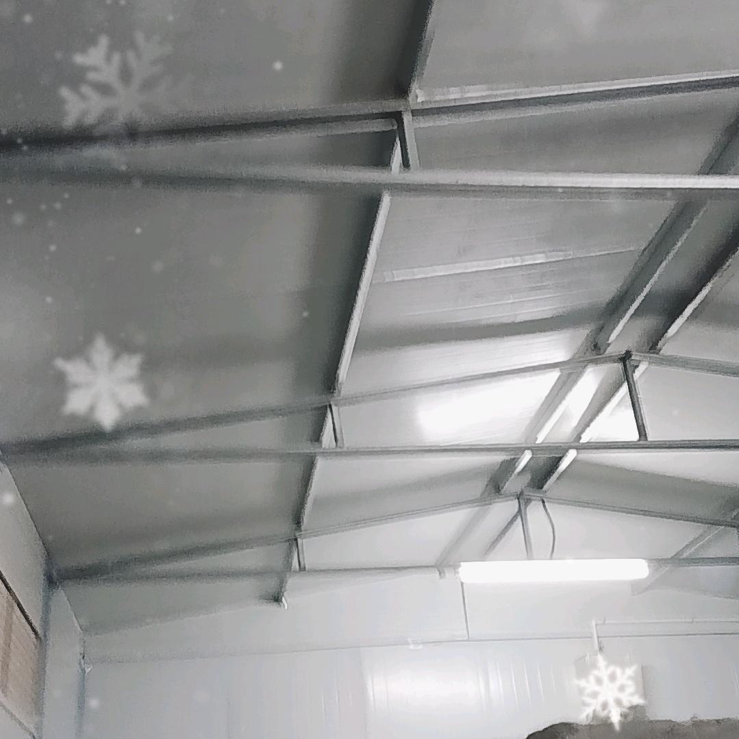 只看热闹不刷了