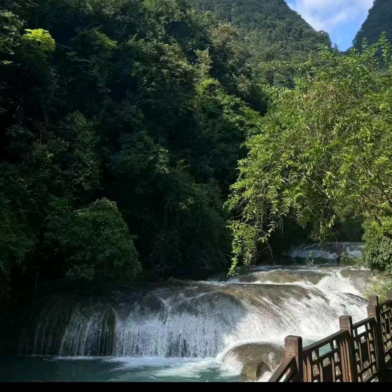 顺其自然🐅🐅