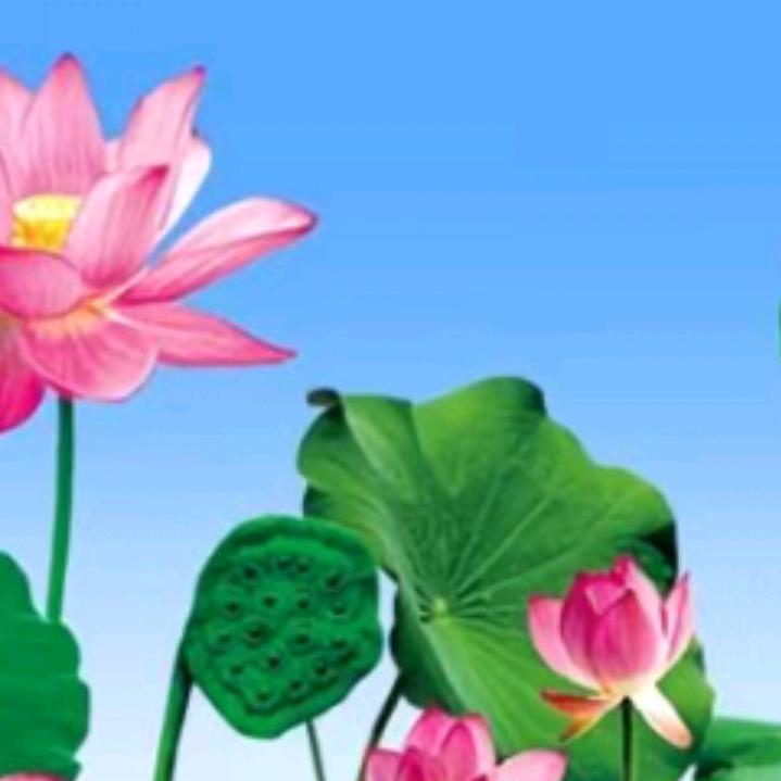 妈妈最亲？？？？？？？？？？