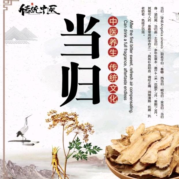 罗景侠 当归