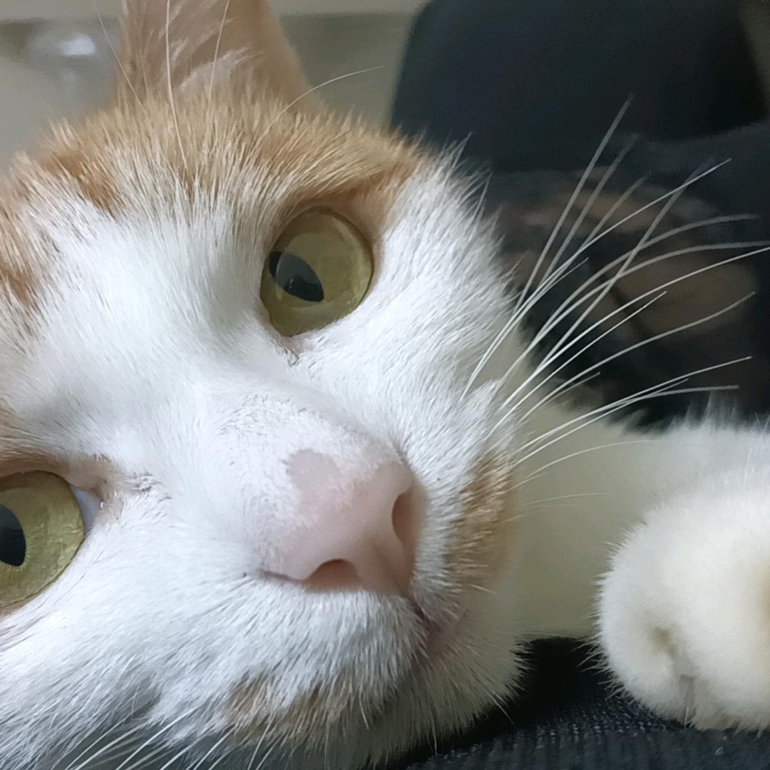 存钱罐