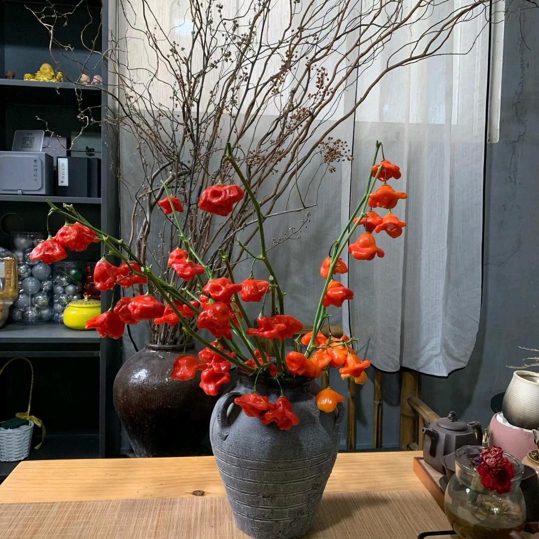 柒月.百花卉