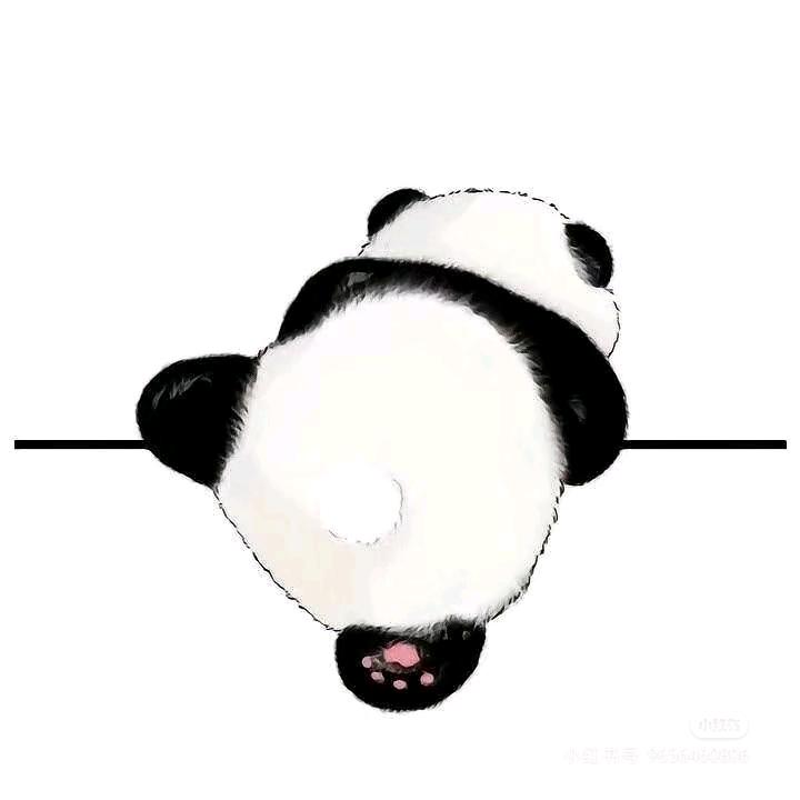 搞点生菜吃吃