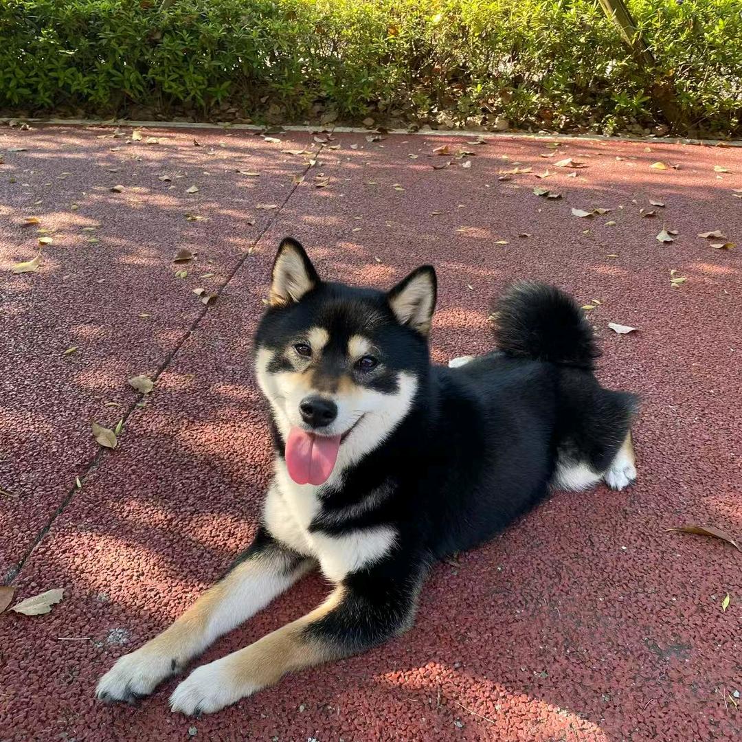 🌍地球玩家（摩旅版）