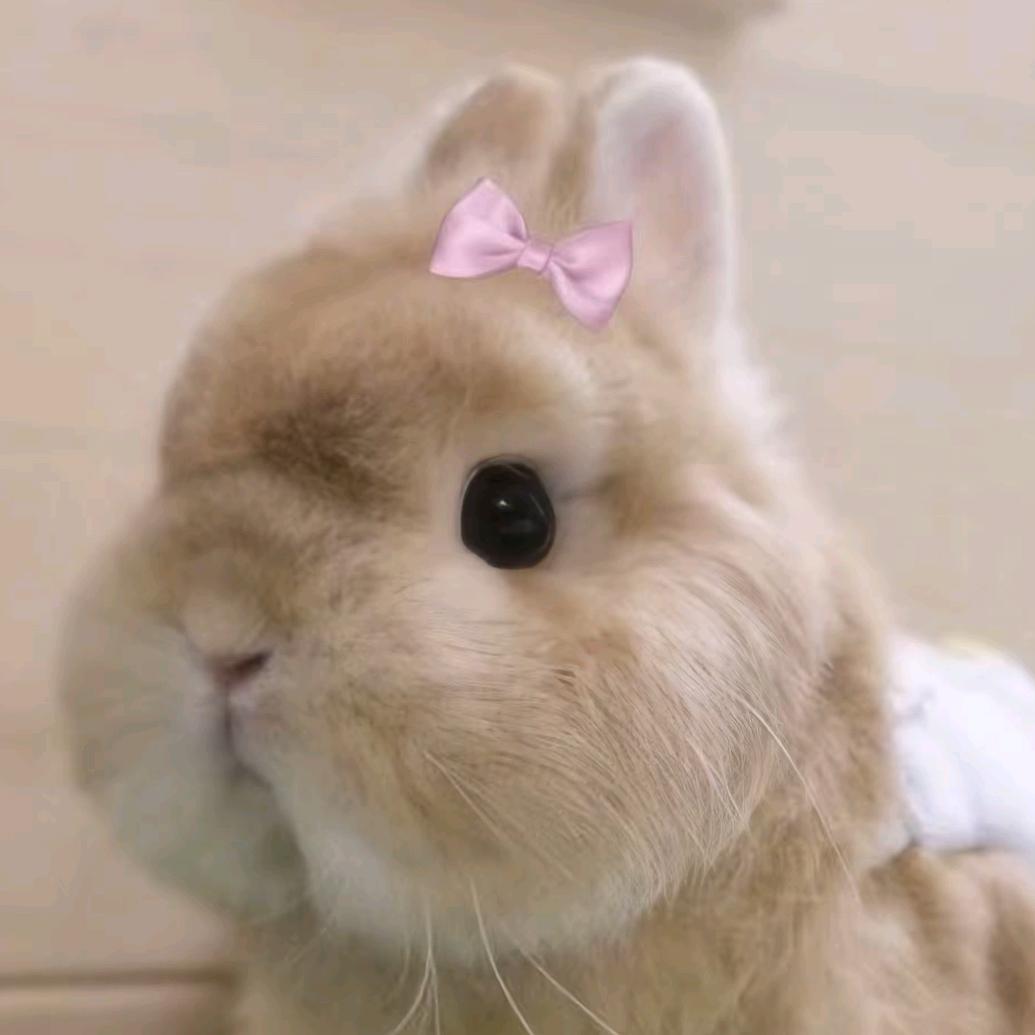 程少。
