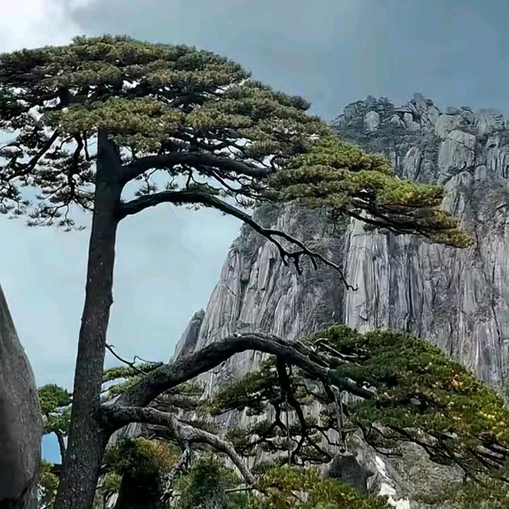 分享短视频