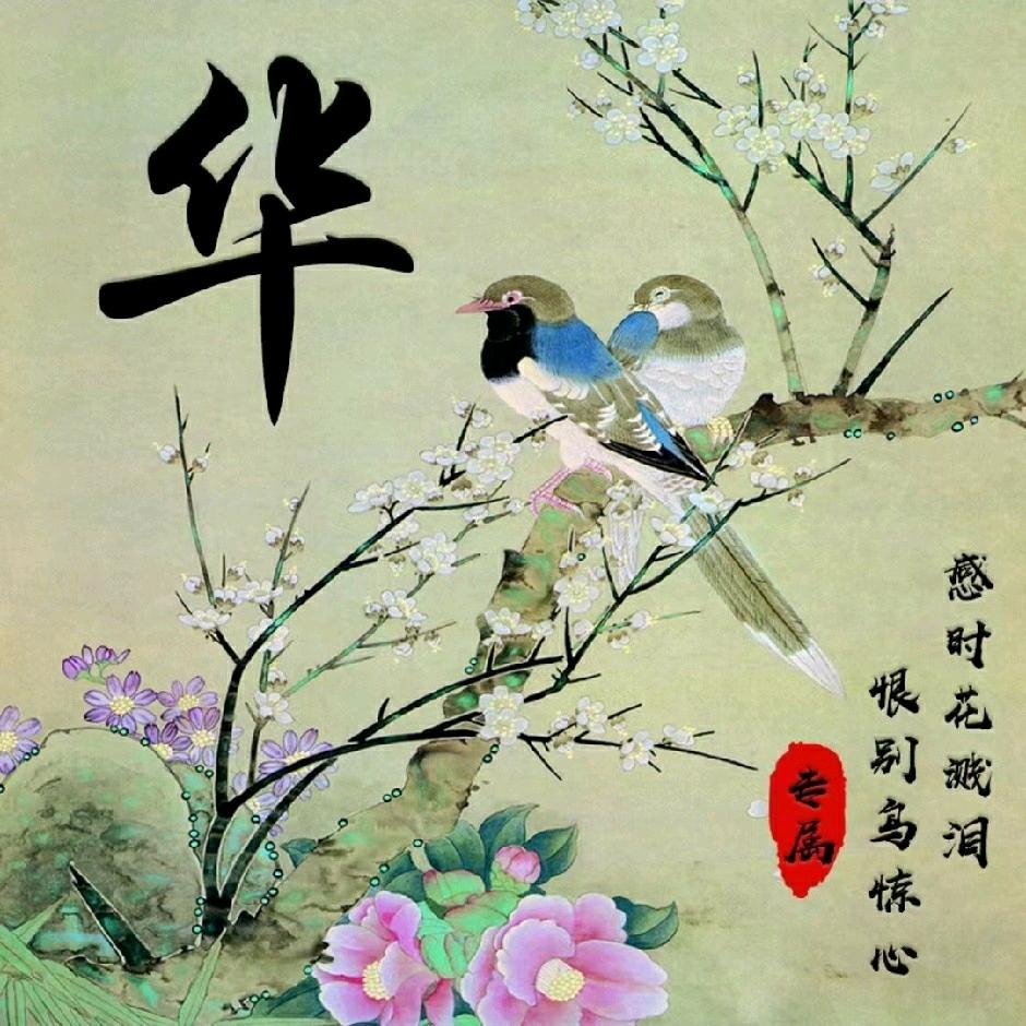 华新