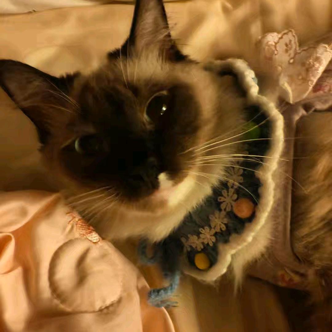 芋泥小思（阮软）