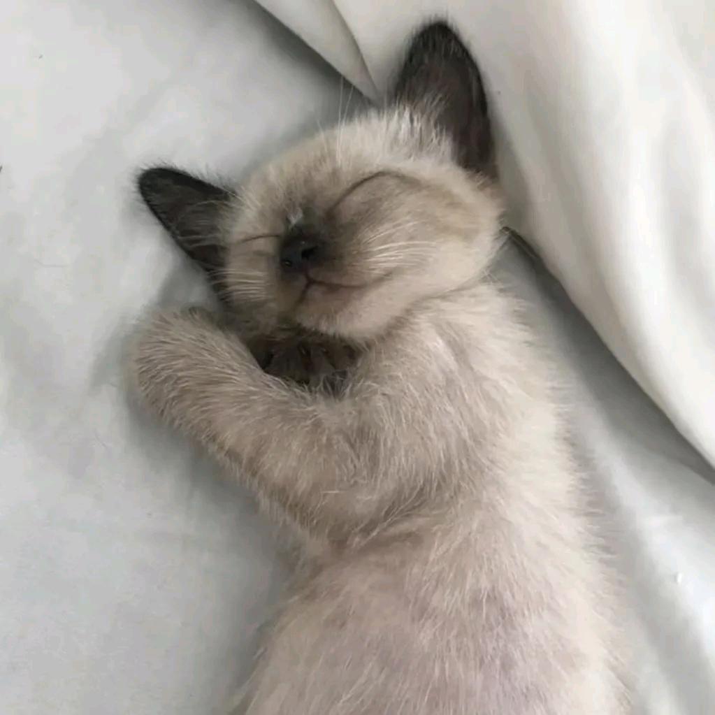 猛戳瞎子那只好眼