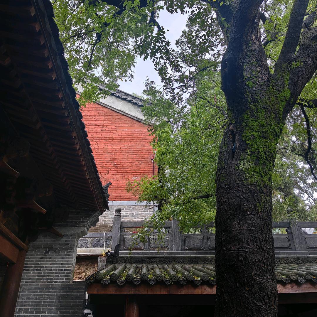 鱼线工程师