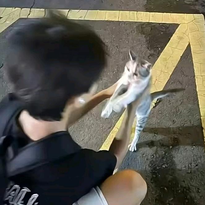 鏚