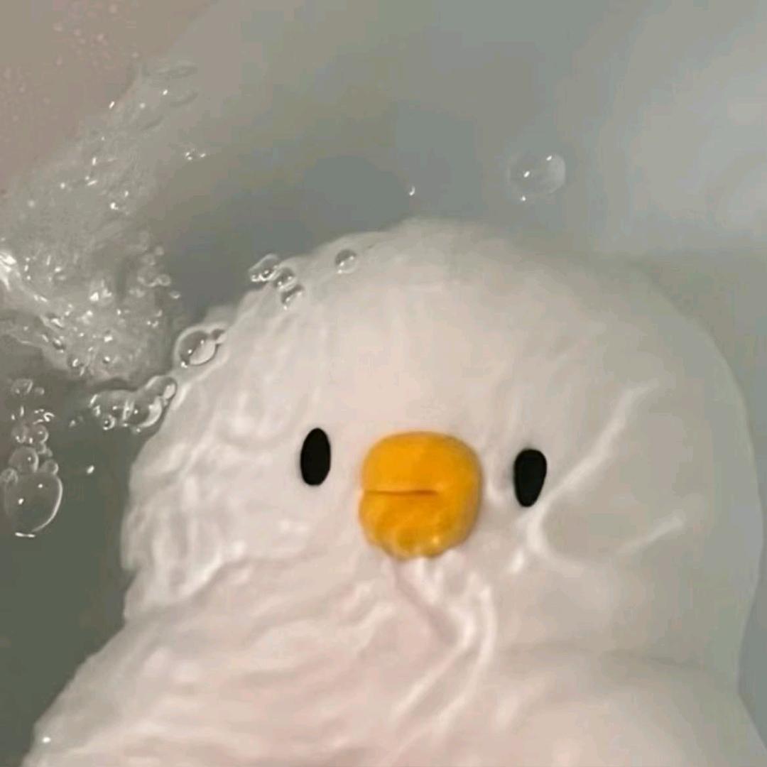 芙窝一下