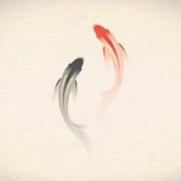 此生再去一次泸沽湖༊