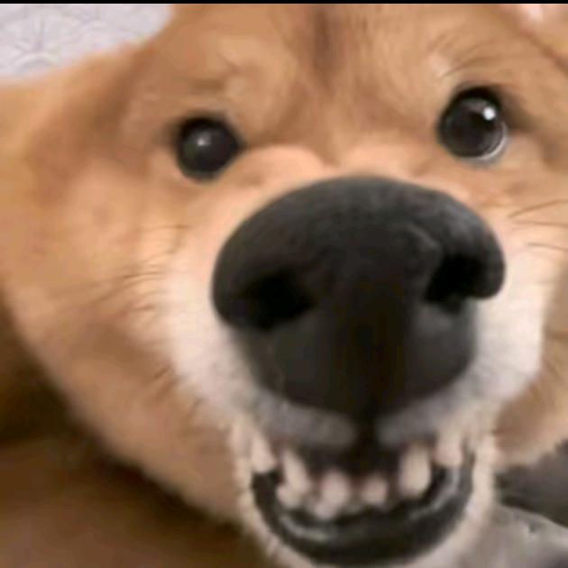 睡觉大王