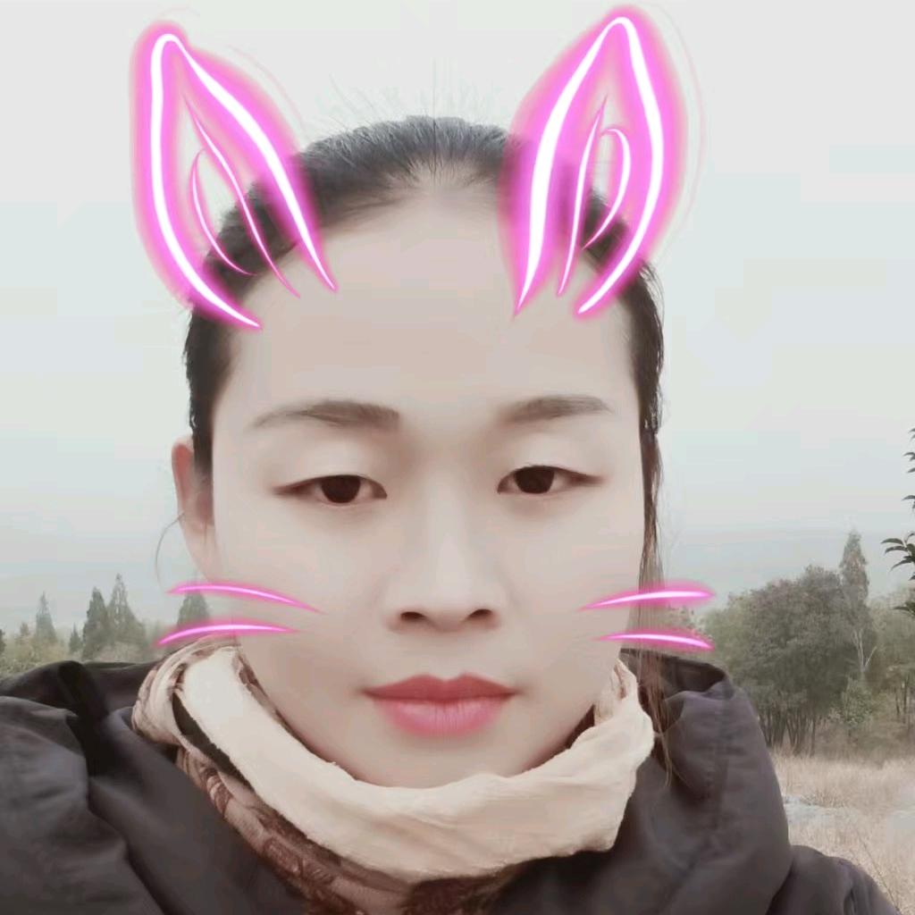 南阳钢结构李姐