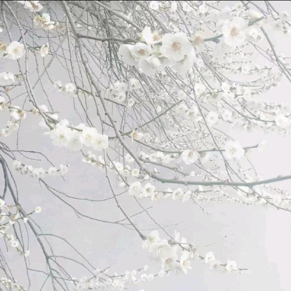 玊