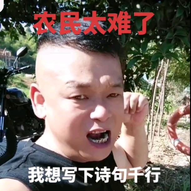 老实人（桃源滴）