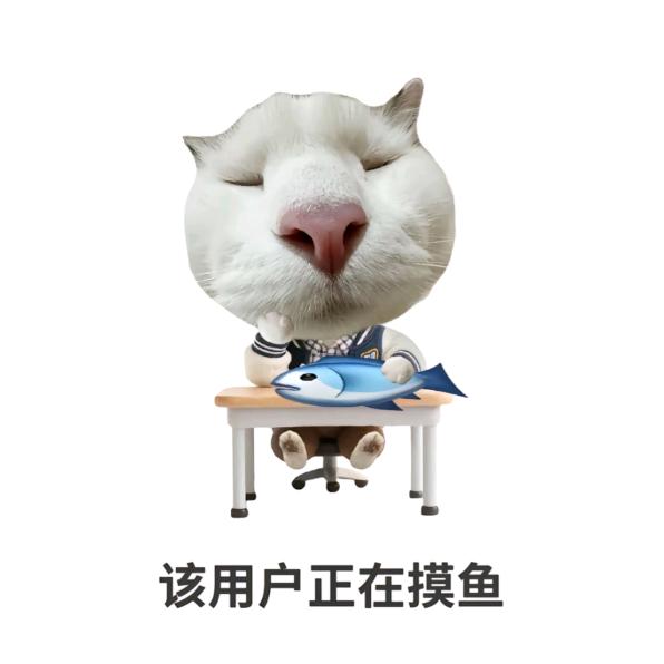 Y S