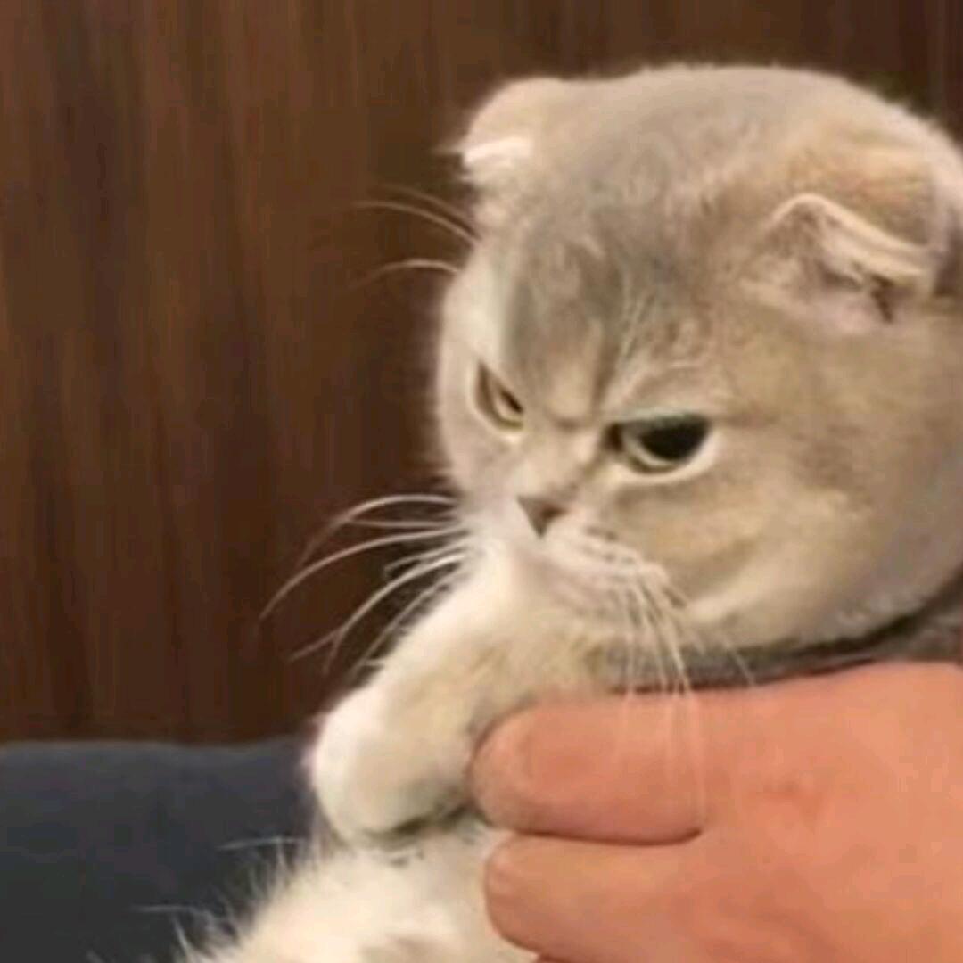 LI