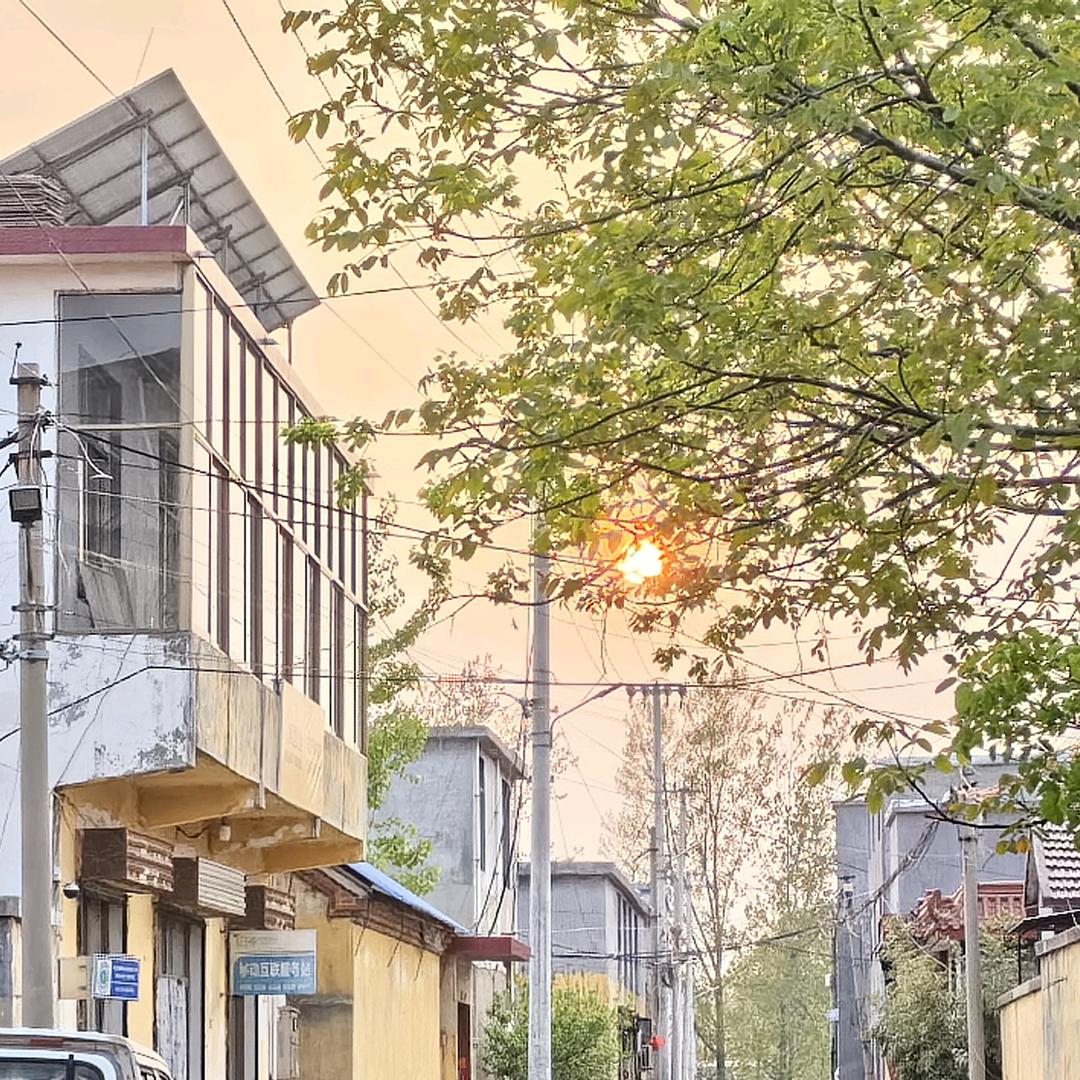 小果冻