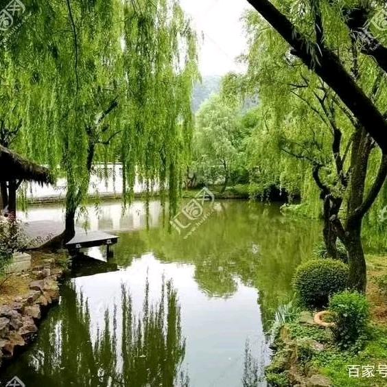 看淡红尘四哥