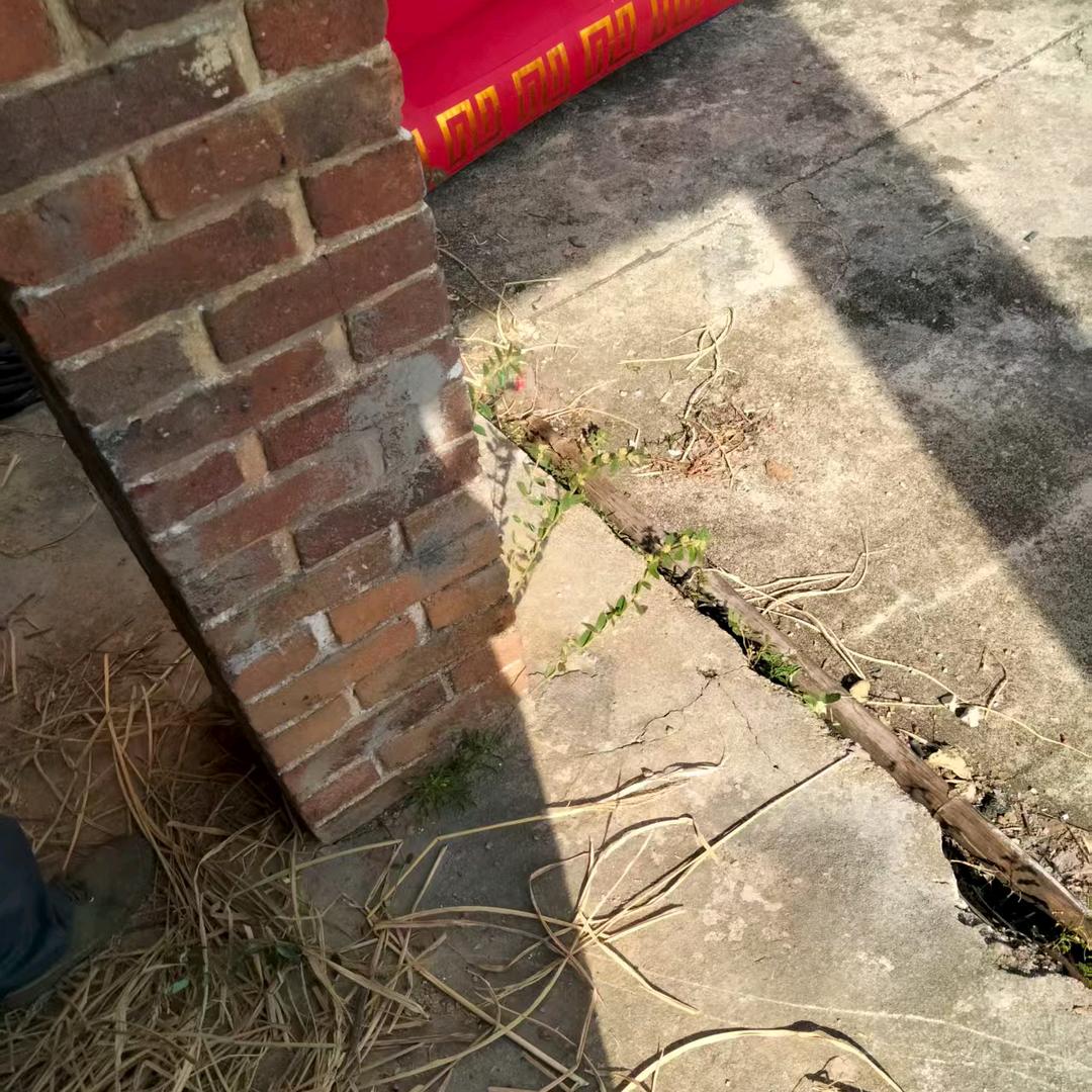夕瑶至岸，红白喜事一条龙服务
