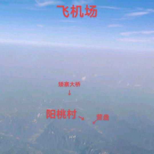 🌏y§树🛫