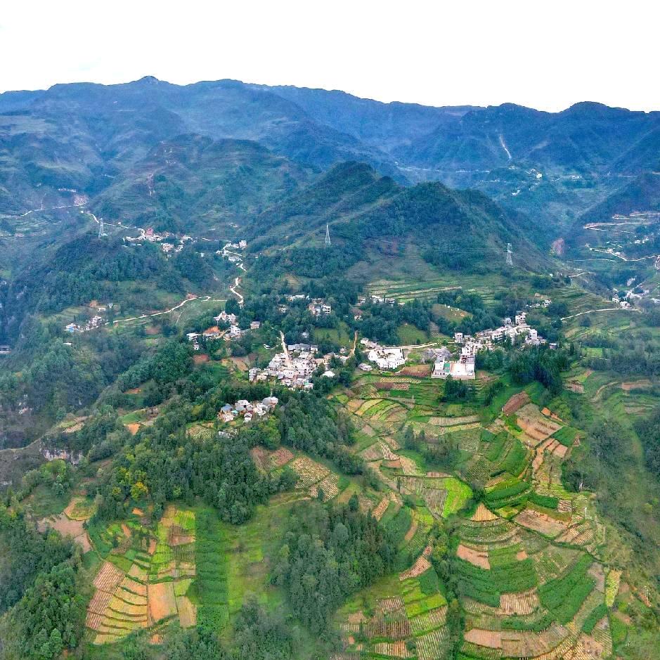 困难户