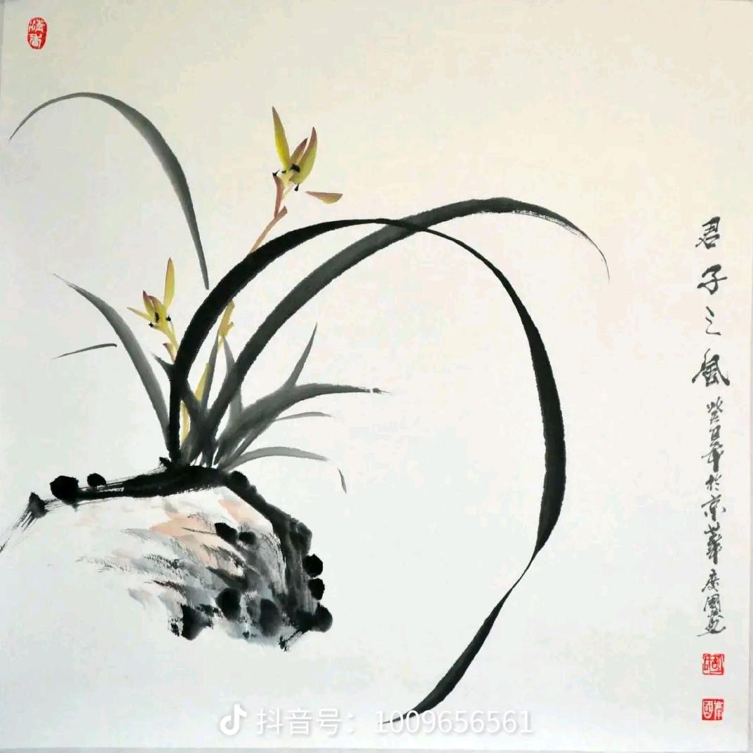 一叶篇张