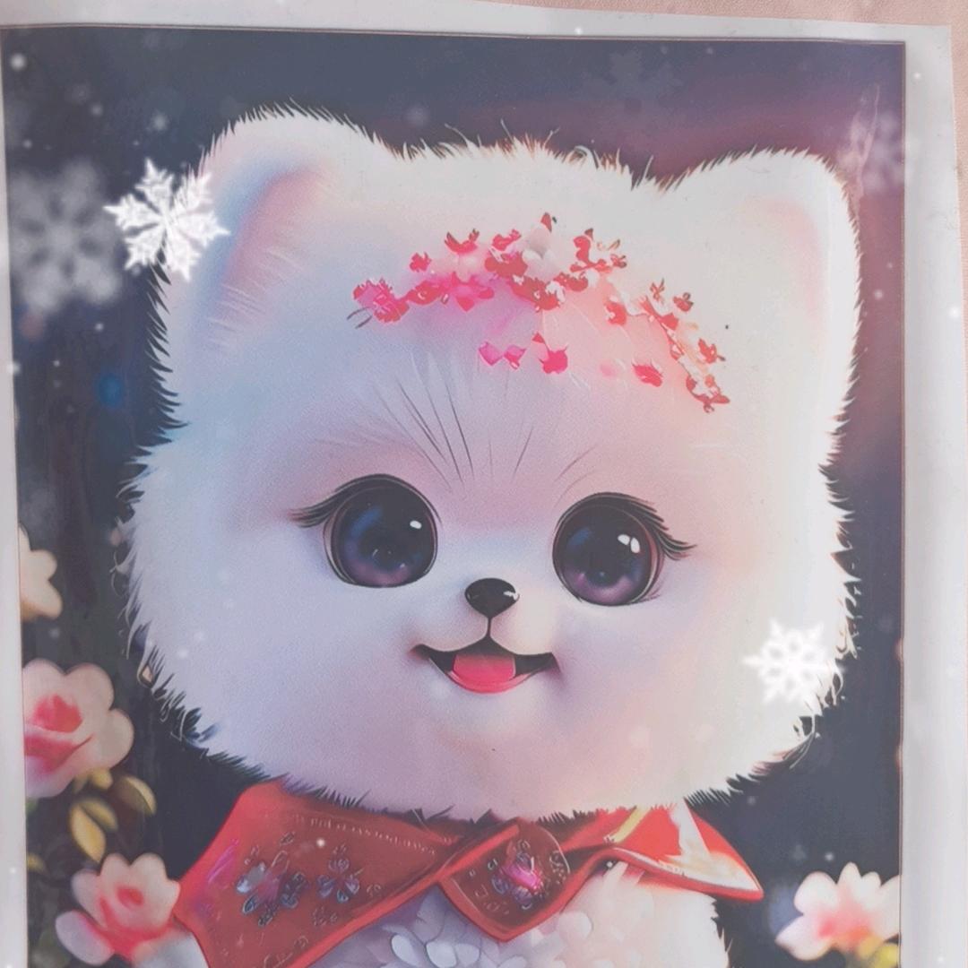 飞鱼