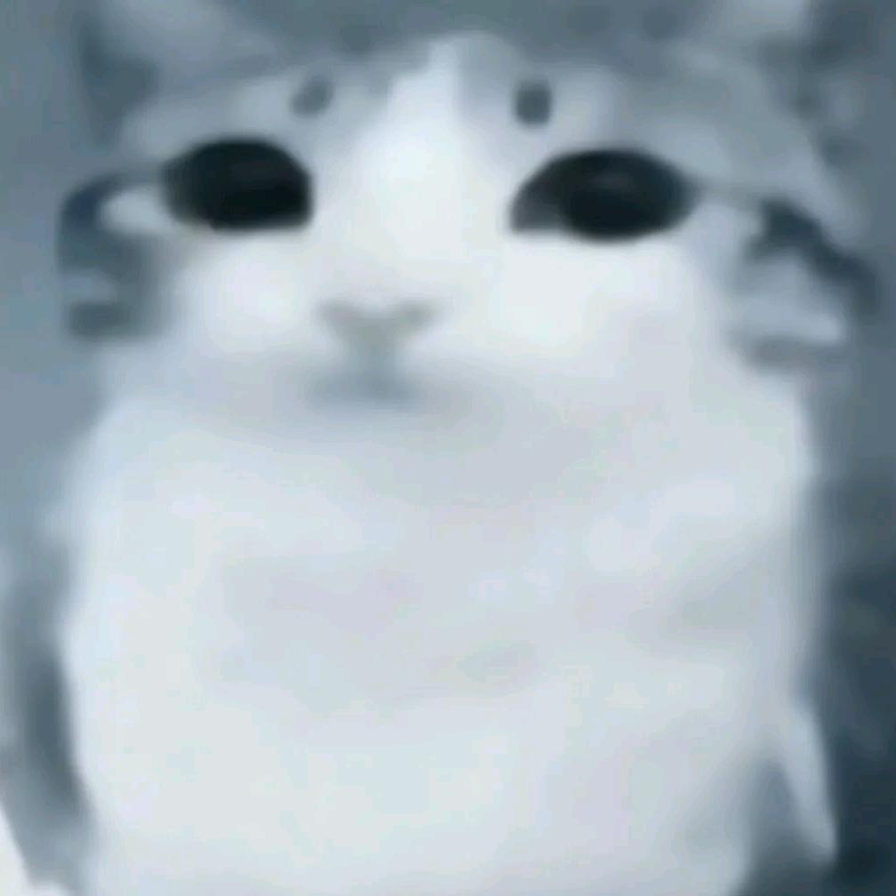 霖霖（百合老吃家）