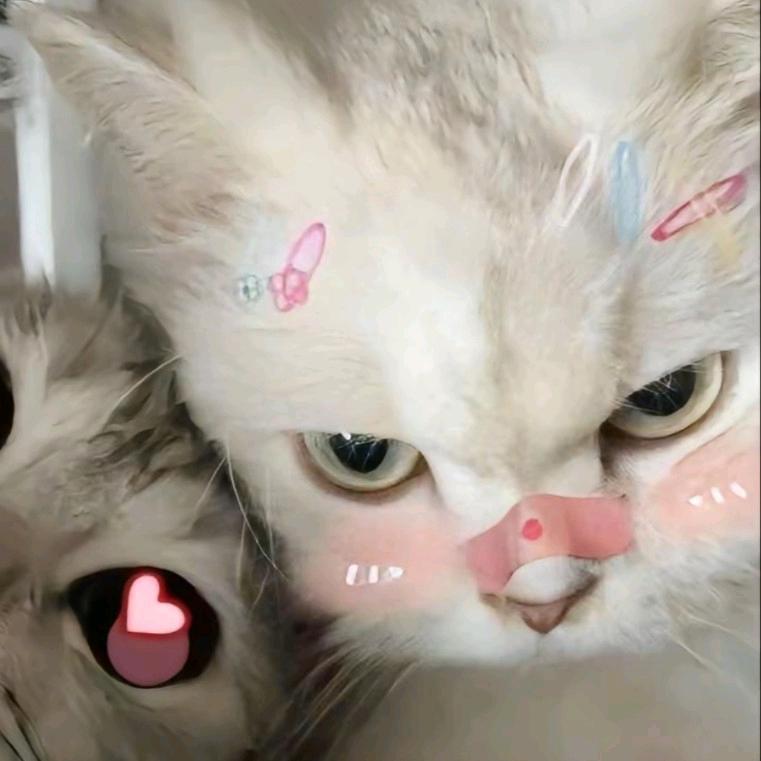 糯糯宏通通₍˄·͈༝·͈˄*₎◞ ̑̑