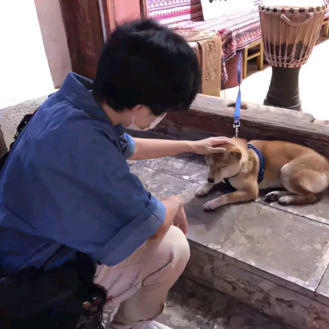 小企鹅（宁职学长版）