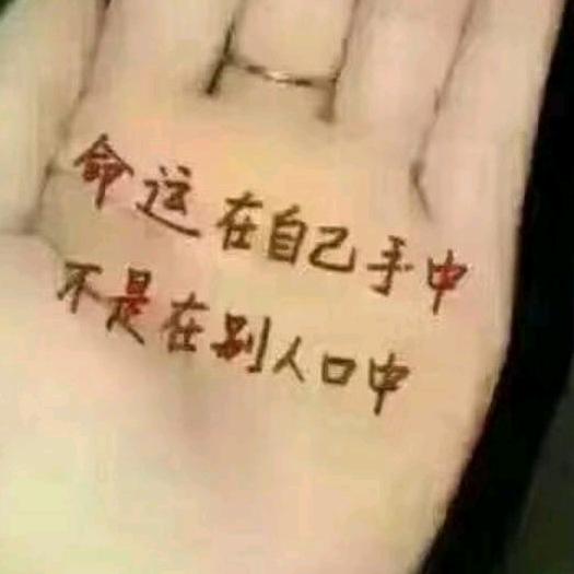 枫叶🍁