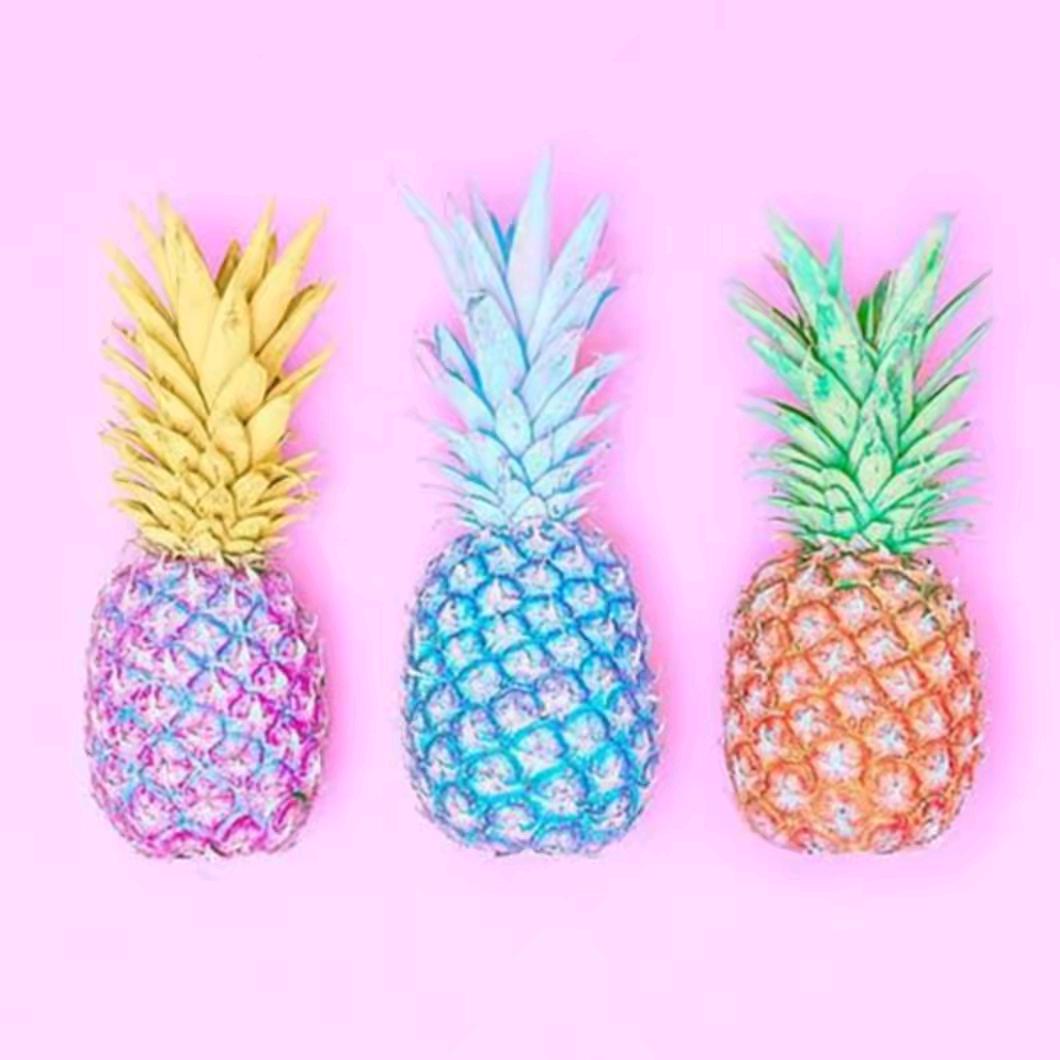 知禾子初百货店