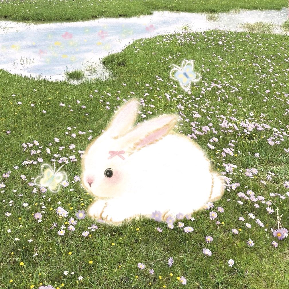 雨青。