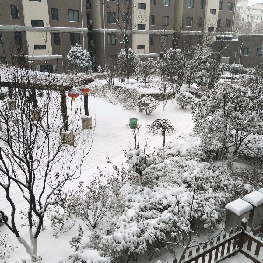 大象无形