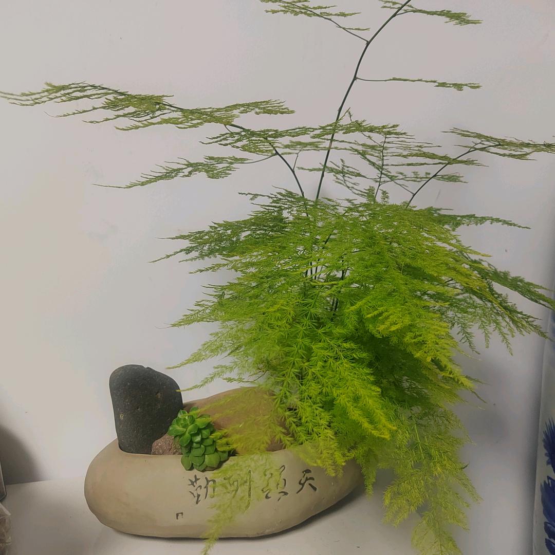 石来运转