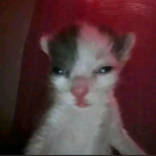 没点功夫怎么闯荡江湖🌚🌚