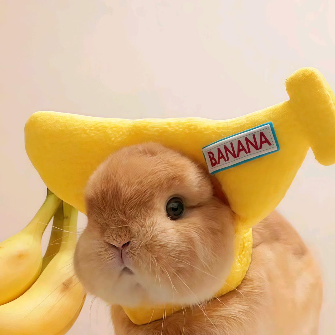 易余