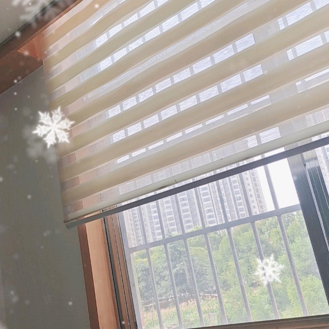 阿起厂家店铺号