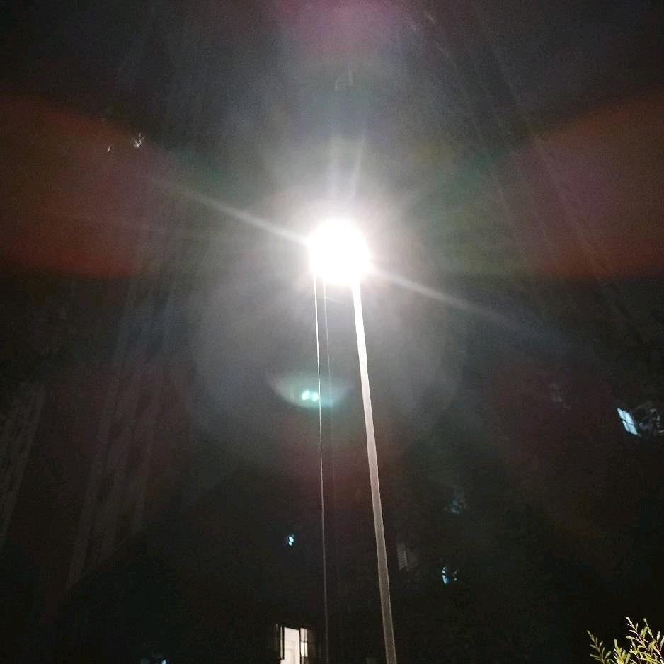 🇨🇳暮归晨晓🇨🇳